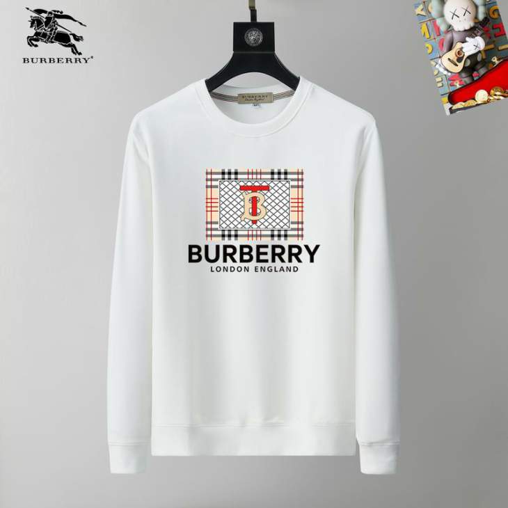 Picture of Burberry Sweatshirt _SKUBurberryM-3XL25tr21830773